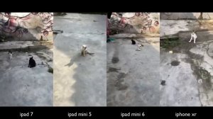 Tes Kamera IPAD 7 VS MINI 5 VS MINI 6 VS XR | CAMERA TEST