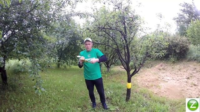 ДЕЛАЕМ ЛОВУШКИ своими руками