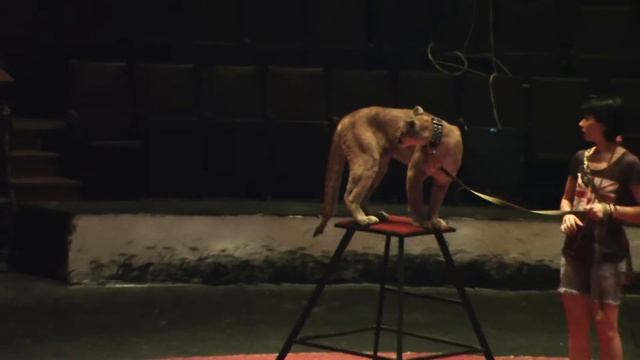 Репетиция смотреть онлайн