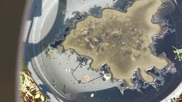 Чистка в потоке от всего негатива. смотреть онлайн