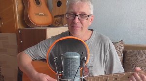 Дикая собака динго