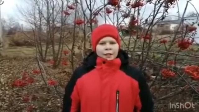 Видео поздравление с Днем матери смотреть онлайн