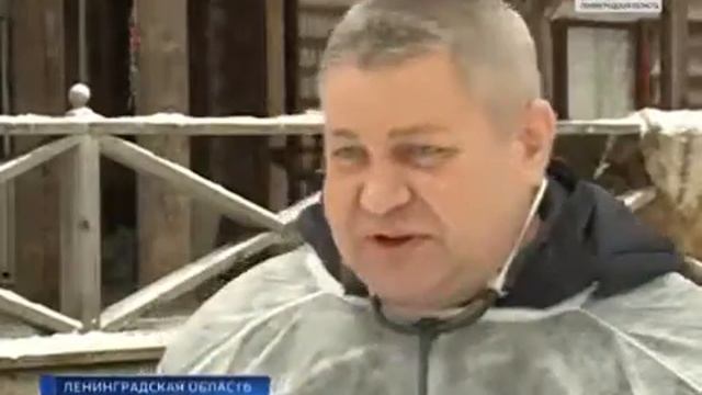 Сурок Анфиса и другие обитатели зоопарка "Приют Белоснежки" смотреть онлайн