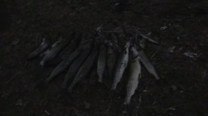 Начало рыболовного сезона на озере Аргази.