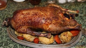 Гусь рождественский