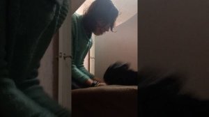 Месть собаке которая мешает спать по ночам, зато днём отсыпается