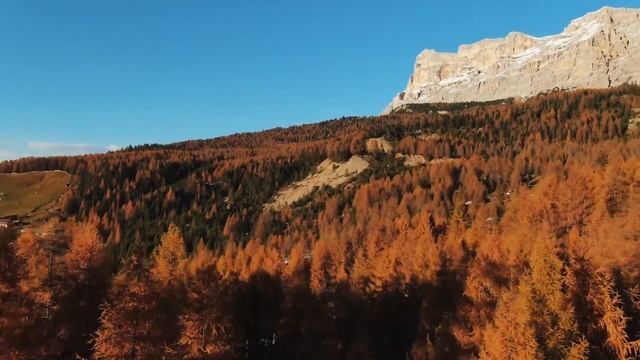 Postcard from "Tru di Lersc" the path of the larches · Alta Badia · Dolomites смотреть онлайн