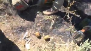 После солнцепека не знаю кто но это не люди