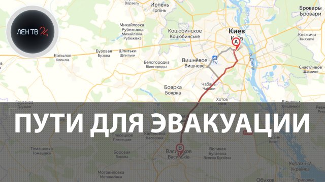 Зеленый коридор осаго Зеленый коридор осаго