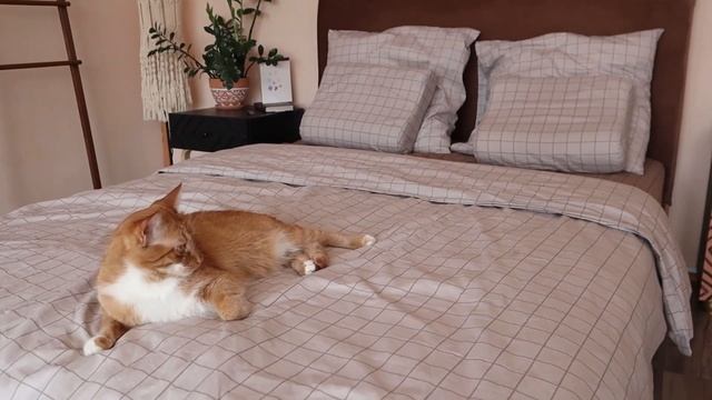 DIY Простая подставка под ноутбук смотреть онлайн