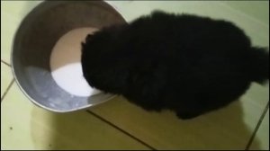 Вся посуда мала, в чан лей!