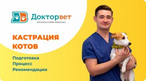 Кастрация кота