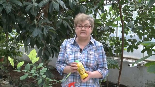 Борьба с вредителями растений при помощи биопрепаратов. Болезни растений в прошлом смотреть онлайн