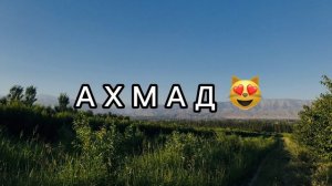 Ислам Идигов А позади 😻
