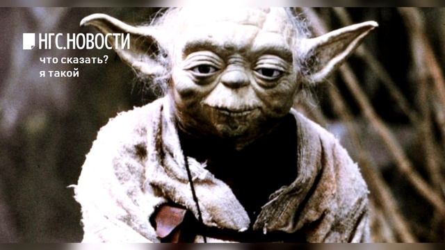 ТАК ВОТ - Что делать если на вас напала злая собака? смотреть онлайн