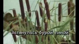 караоке романс черепахи Тортиллы