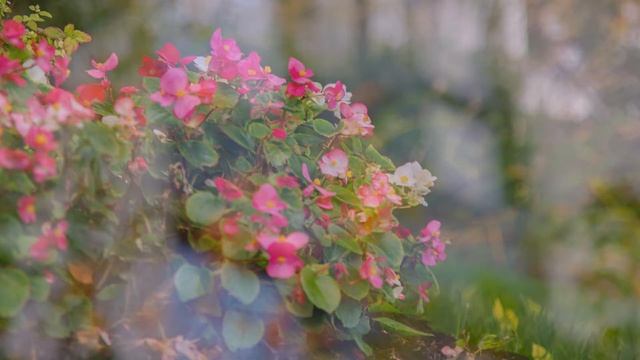 CANON 24-105mm f/4 L IS USM STUNNING FOOTAGES ON 5D MARKIII смотреть онлайн