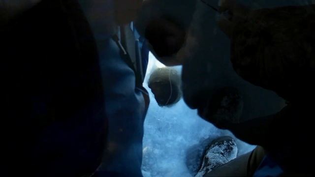 В ГЛУХОЗИМЬЕ так бывает часто. Неудачная рыбалка на жерлицы. смотреть онлайн