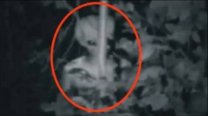 срочно новости зачем пришельцы нападают на людей в доме!/МОНСТРЫ ИЛИ ПРИШЕЛЬЦЫ НАПАДАЮТ НА ЛЮДЕЙ !