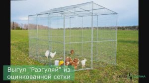 Выгул для домашней птицы "Разгуляй" от CrazyFerma. Выгул для кур, уток, гусей.
