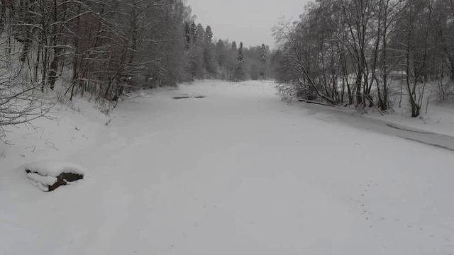 Сиверская.
