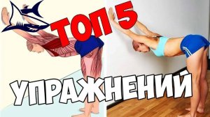 ТОП 5 упражнений для растяжки. Гибкость в домашних условиях. Стретчинг