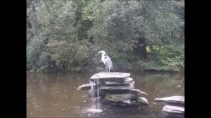 Vondelpark Amsterdam, Netherlands / Vondelpark Амстердам, Нидерланды