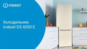 Холодильник Indesit DS 4200 E - обзор модели