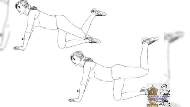 МЫШЦЫ ЯГОДИЦ | КЛАССИКА | АЗБУКА ФИТНЕСА | УРОК 8 #fitness #мышцы_ягодиц #упражнения_на_ягодицы смотреть онлайн