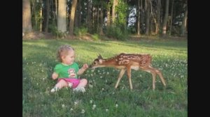 49 Evergrin - Kazi zasto me ostavi