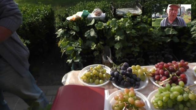 Выставка - ярмарка 