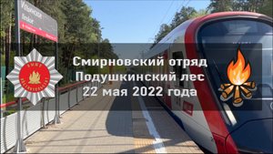 Поход в лес со Смирновским отрядом 22 мая 2022 года