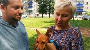 Цвергпинчер воспитание и дрессировка щенка. Дневник кинолога Алексей Саламатин