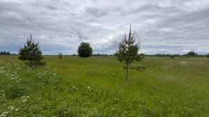 Подъезд к земельному участку 2 Га и вид вокруг.