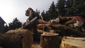 STIHL MS 211 SAW CUTTING FIREWOODS ?