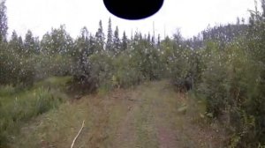 дорога в тайге. навесной мост. road in the taiga. suspension bridge