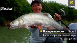 Всеядный жерех. Вибы, уокеры, стики и пилькеры. Алексей Шанин   Часть 1
