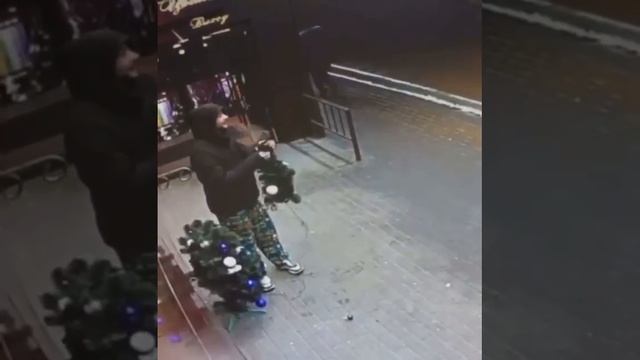 В Чертанове мужчина пытался украсть елку - Москва 24