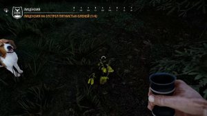 Hunting Simulator 2 #2 Охота на кабана (Болота Чехии, Харгита )