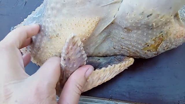 Забой цесарок смотреть онлайн