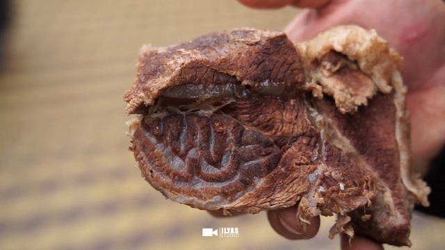 Имя Всевышнего Аллаха на мясе в Ингушетии #islam #ингушетия #family #2023 #ingushetia смотреть онлайн