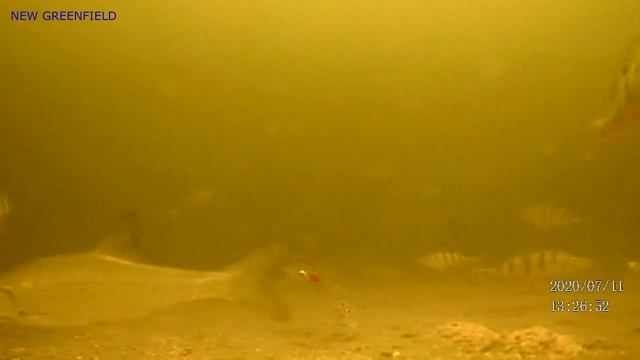 Чудское оз.Рыбалка с подводной камерой.