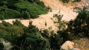 Сеньор Рабинзон