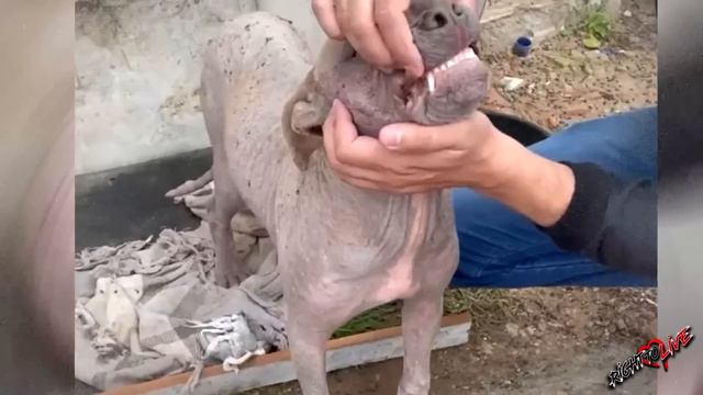 Она перестала верить людям! Любимый человек бросил ее больной на улице!