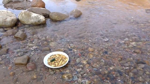 Winter Gold and possibly Emeralds! Mining on this River смотреть онлайн