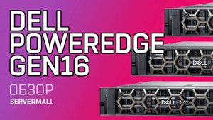 Обзор на сервер Dell Poweredge Gen16  SERVERMALL рекомендует