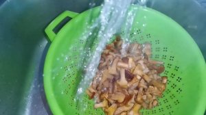 Жареные грибы Лисички с чесноком. Как вкусно приготовить грибы лисички.