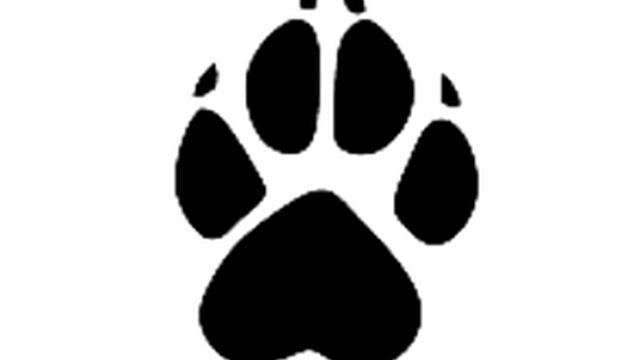 Маленькие катята мяукают смотреть онлайн