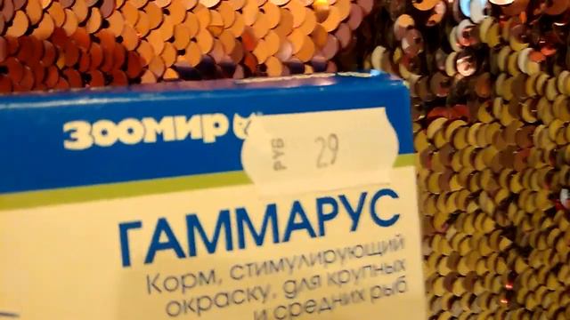 🐌Что нужно для появления улиток в доме🐌/стартовый набор смотреть онлайн