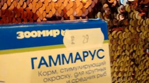 🐌Что нужно для появления улиток в доме🐌/стартовый набор